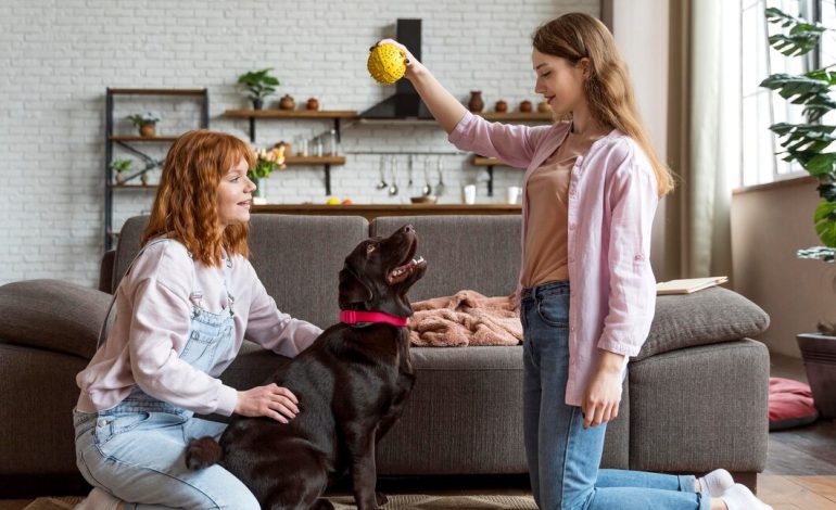 Common Misconceptions About Pet Day Care Near Me